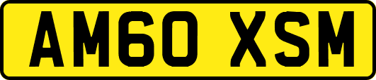AM60XSM