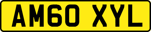 AM60XYL