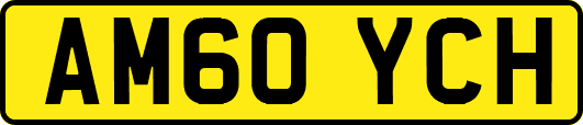 AM60YCH