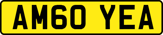 AM60YEA