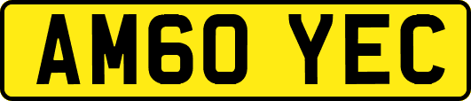 AM60YEC