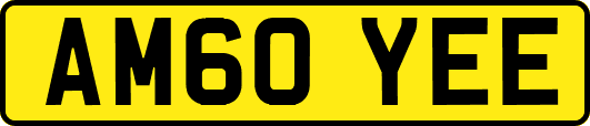 AM60YEE