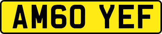 AM60YEF