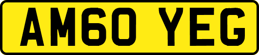 AM60YEG