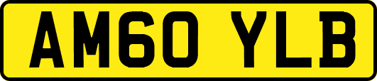 AM60YLB