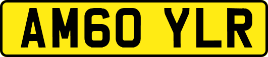 AM60YLR