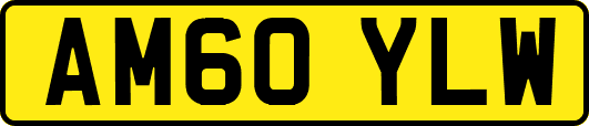 AM60YLW