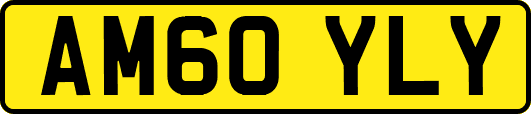 AM60YLY