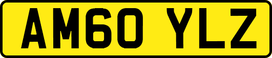 AM60YLZ