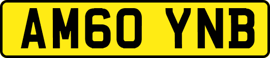 AM60YNB