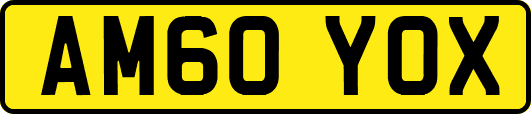 AM60YOX