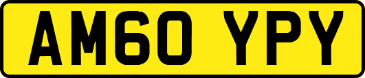 AM60YPY
