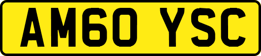 AM60YSC