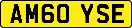 AM60YSE