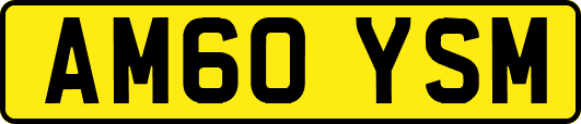 AM60YSM