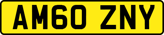 AM60ZNY