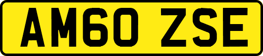 AM60ZSE