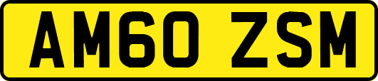 AM60ZSM