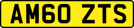 AM60ZTS