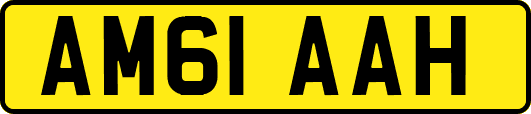 AM61AAH