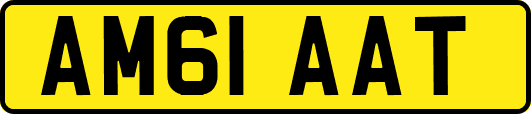 AM61AAT