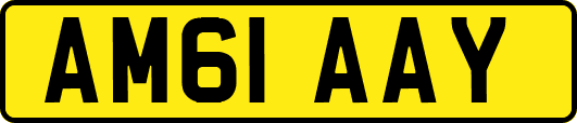 AM61AAY