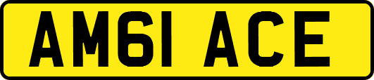 AM61ACE