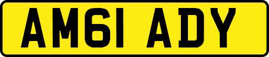 AM61ADY