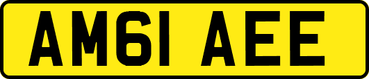 AM61AEE