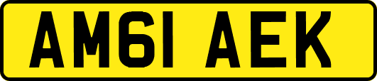 AM61AEK