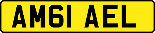 AM61AEL