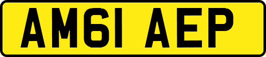 AM61AEP