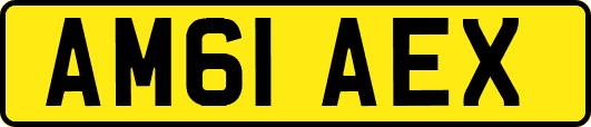AM61AEX