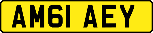 AM61AEY
