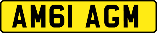 AM61AGM