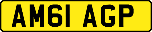 AM61AGP