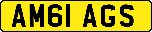 AM61AGS