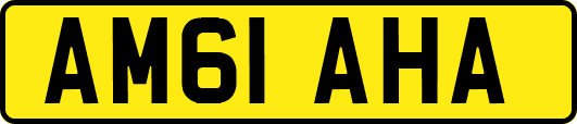AM61AHA