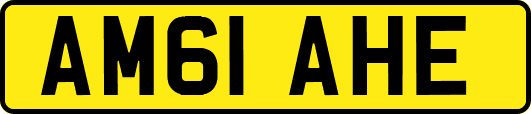 AM61AHE