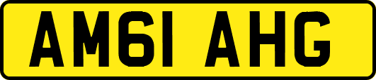AM61AHG