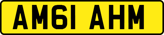 AM61AHM