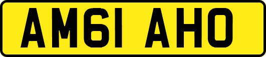 AM61AHO