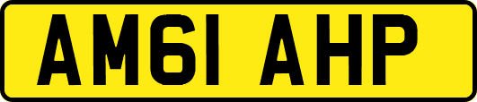 AM61AHP