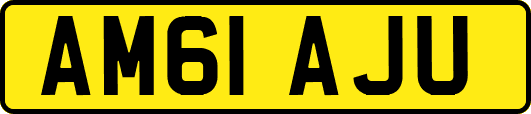 AM61AJU