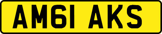 AM61AKS
