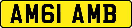 AM61AMB