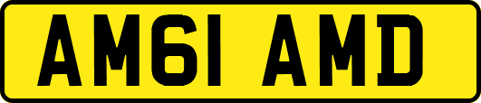 AM61AMD