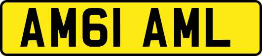 AM61AML