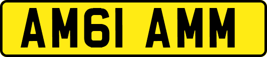 AM61AMM