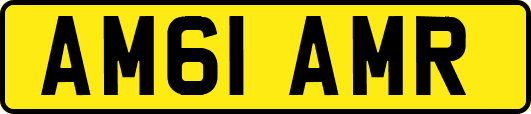 AM61AMR